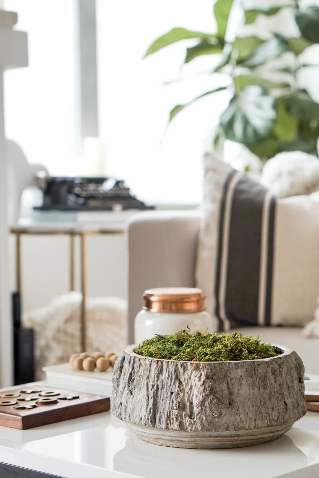 DIY Moss Bowl Centrepiece