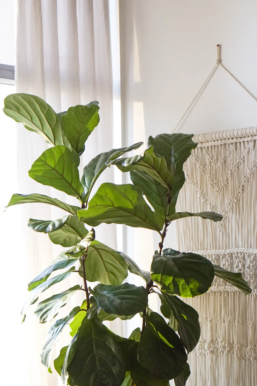 Self Isolation Bucket List