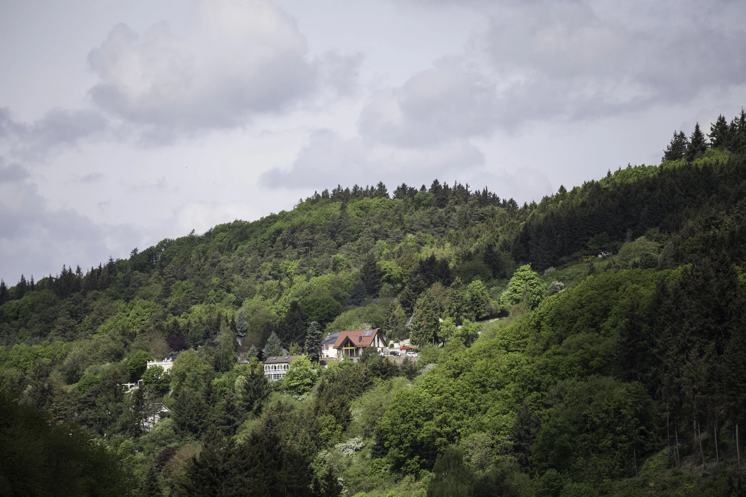 _MG_9951.jpg
