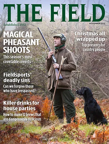 November-2015-cover.jpg