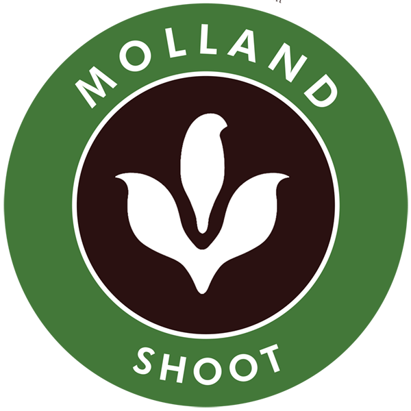 molland_badge_green.png
