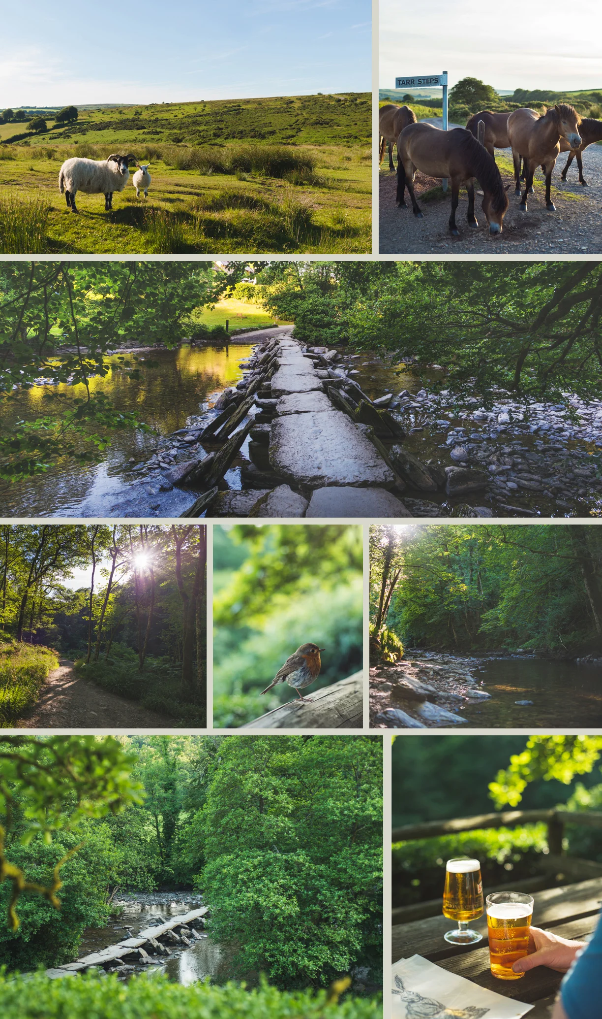 Tarr-Steps-Exmoor.jpg