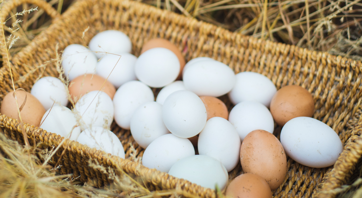 freah-eggs-loyton.jpg
