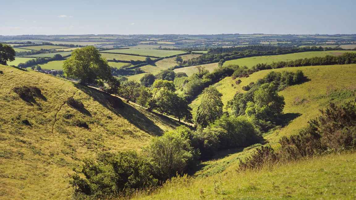 Molland-landscape-Loyton.jpg