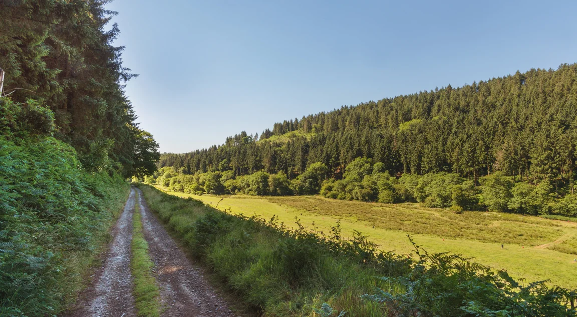 Molland-road.jpg