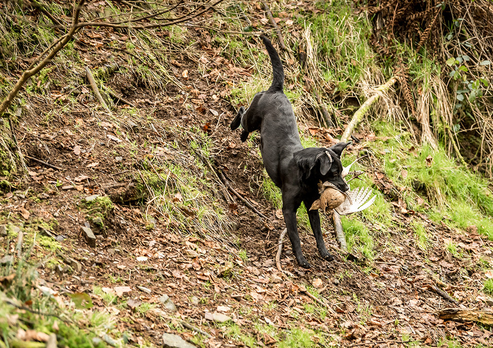 Stuckeridge-shoot-7.jpg