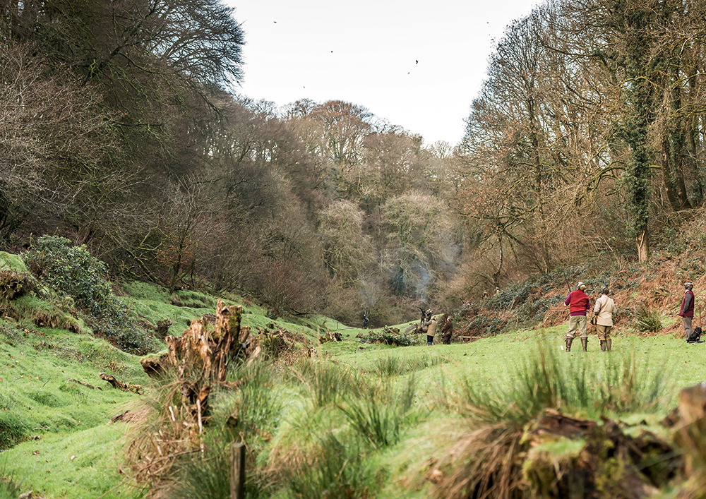Molland-shoot-3.jpg