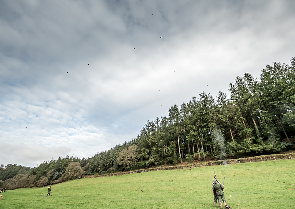 Molland-shoot-10.jpg