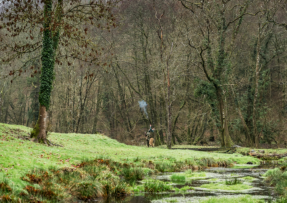 in-the-woods-stuckeridge.jpg