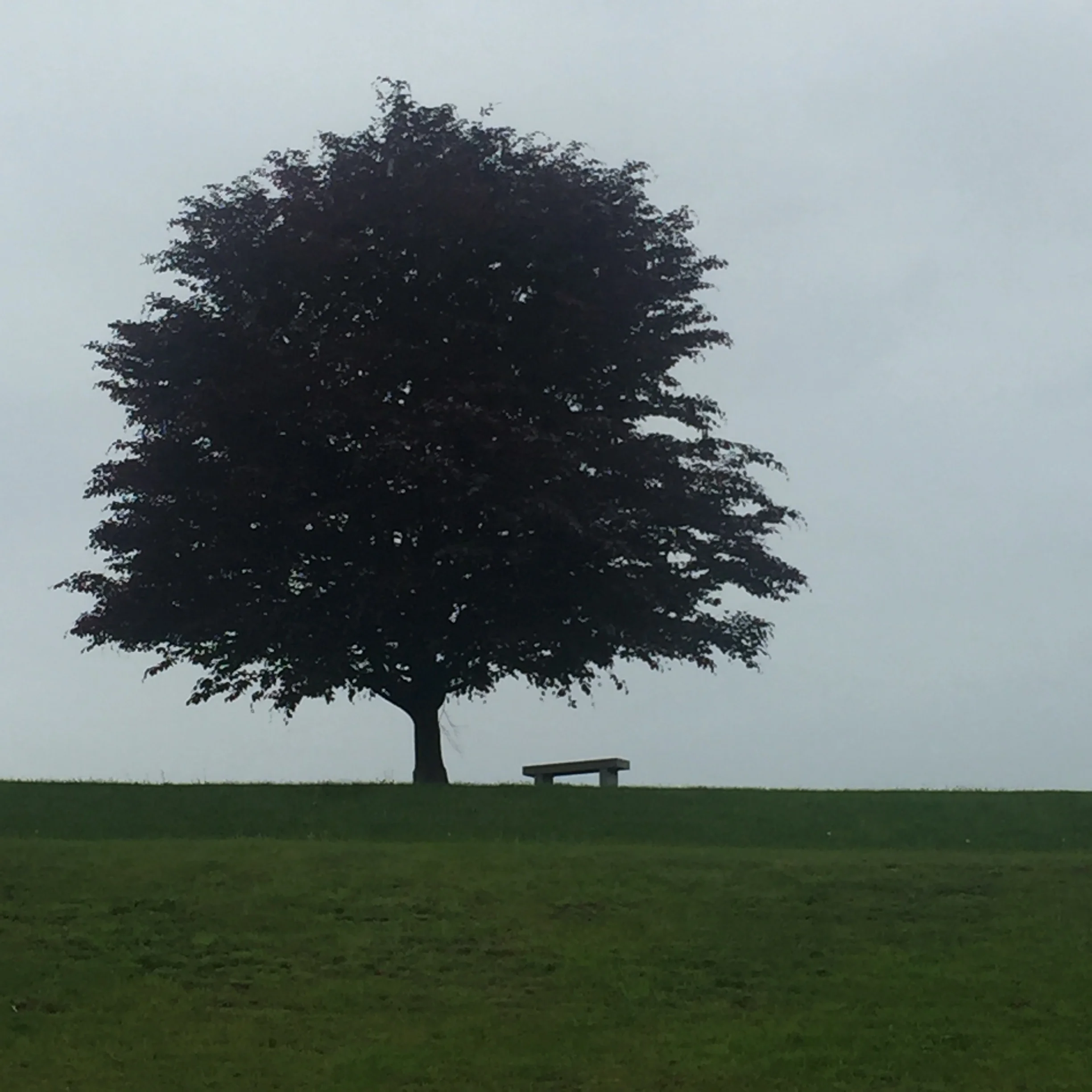 I blame my running coach