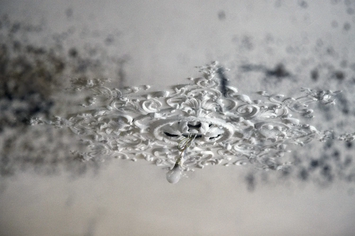 "Ceiling",2010