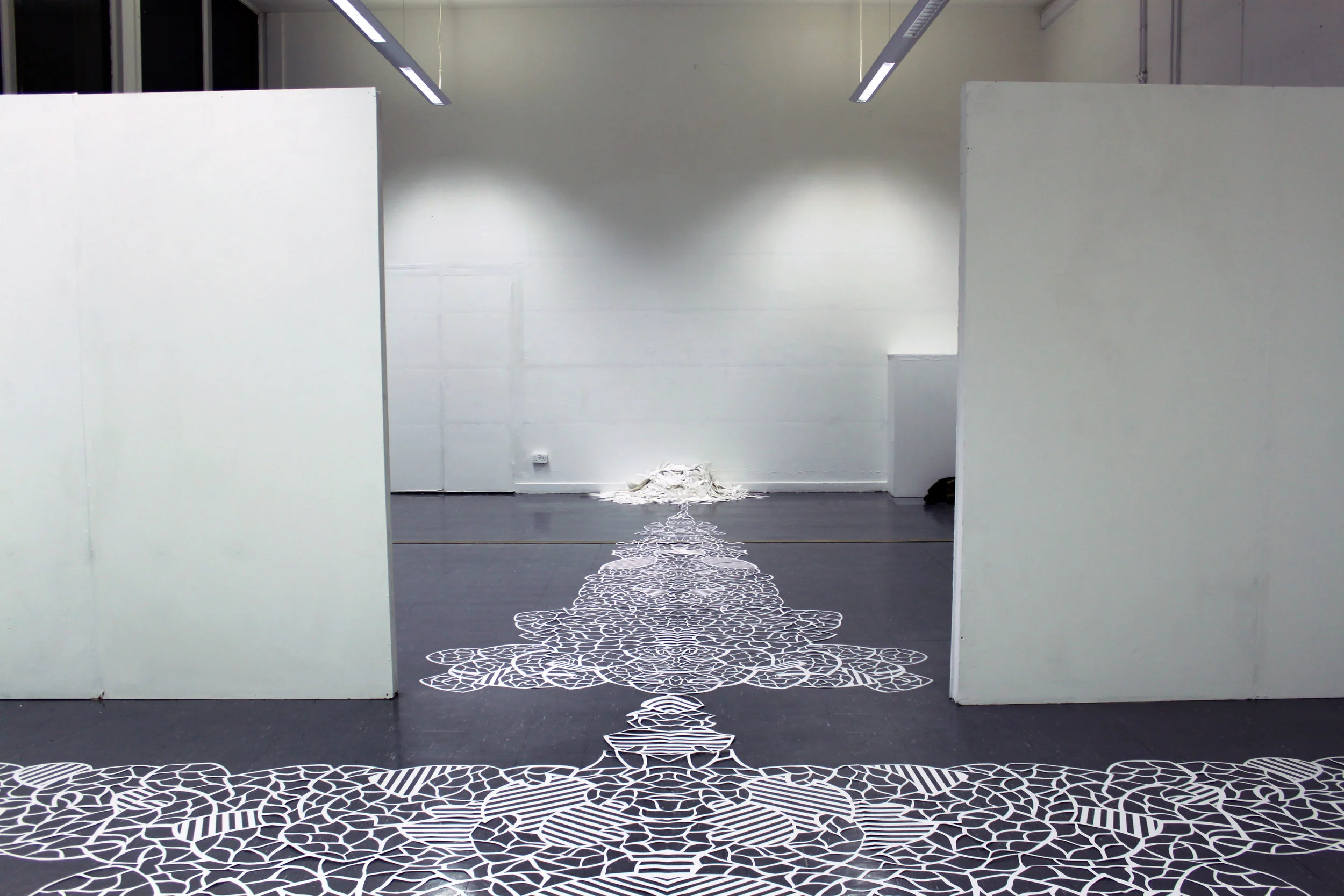 7 - Master of Fine Art Degree Show Installation.jpg