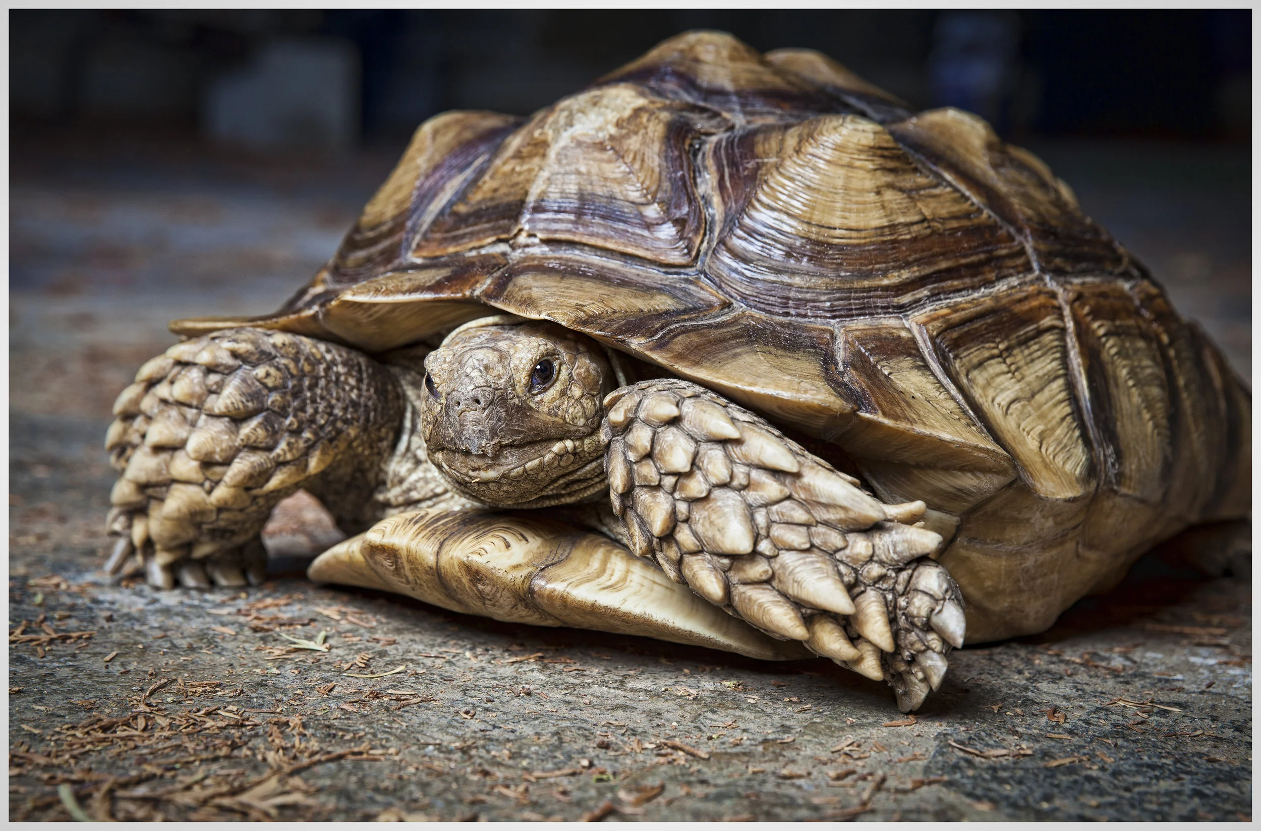 IMG_9650-Edit again.jpg