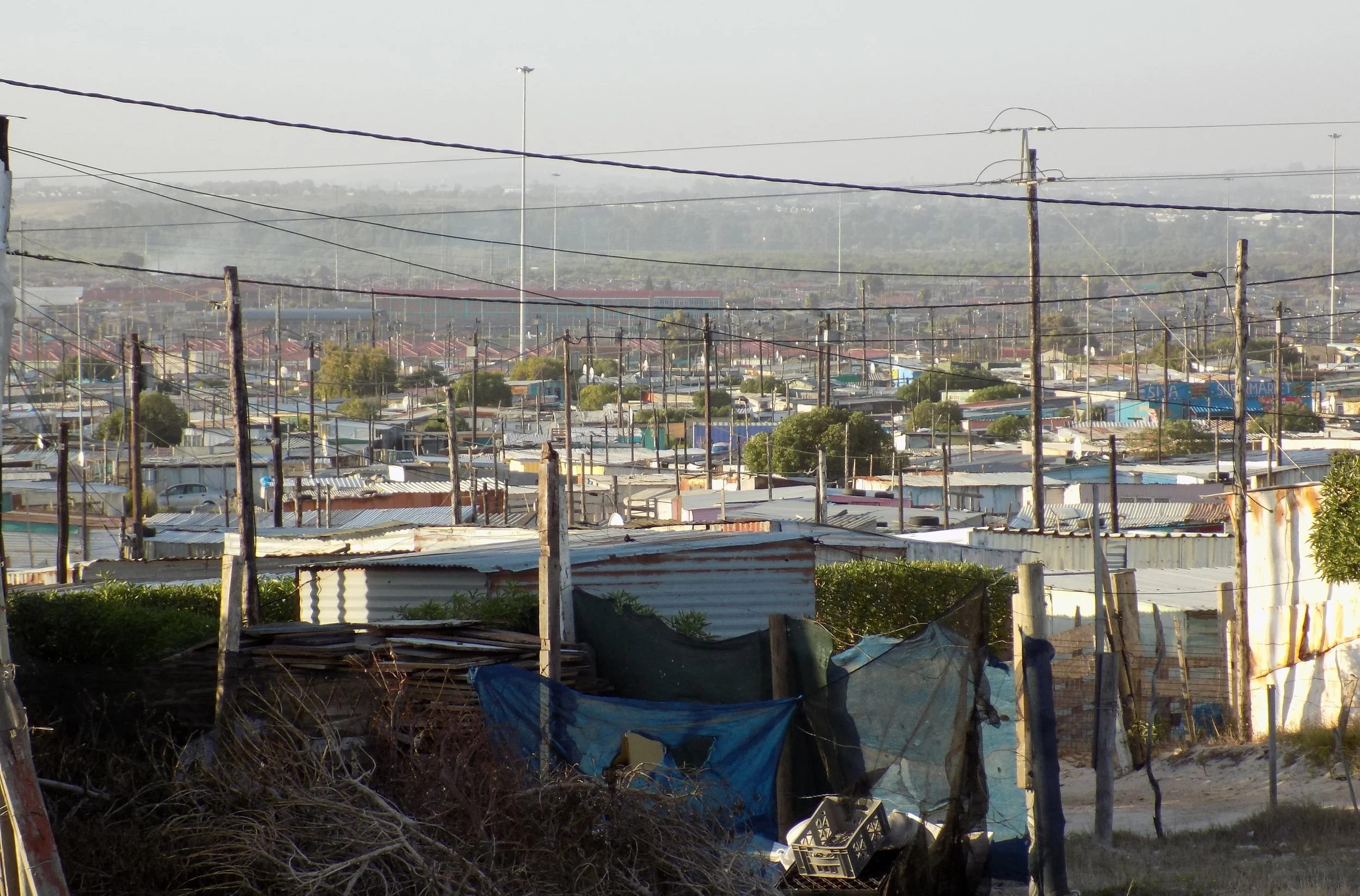 Copy of DSCN0164.JPG