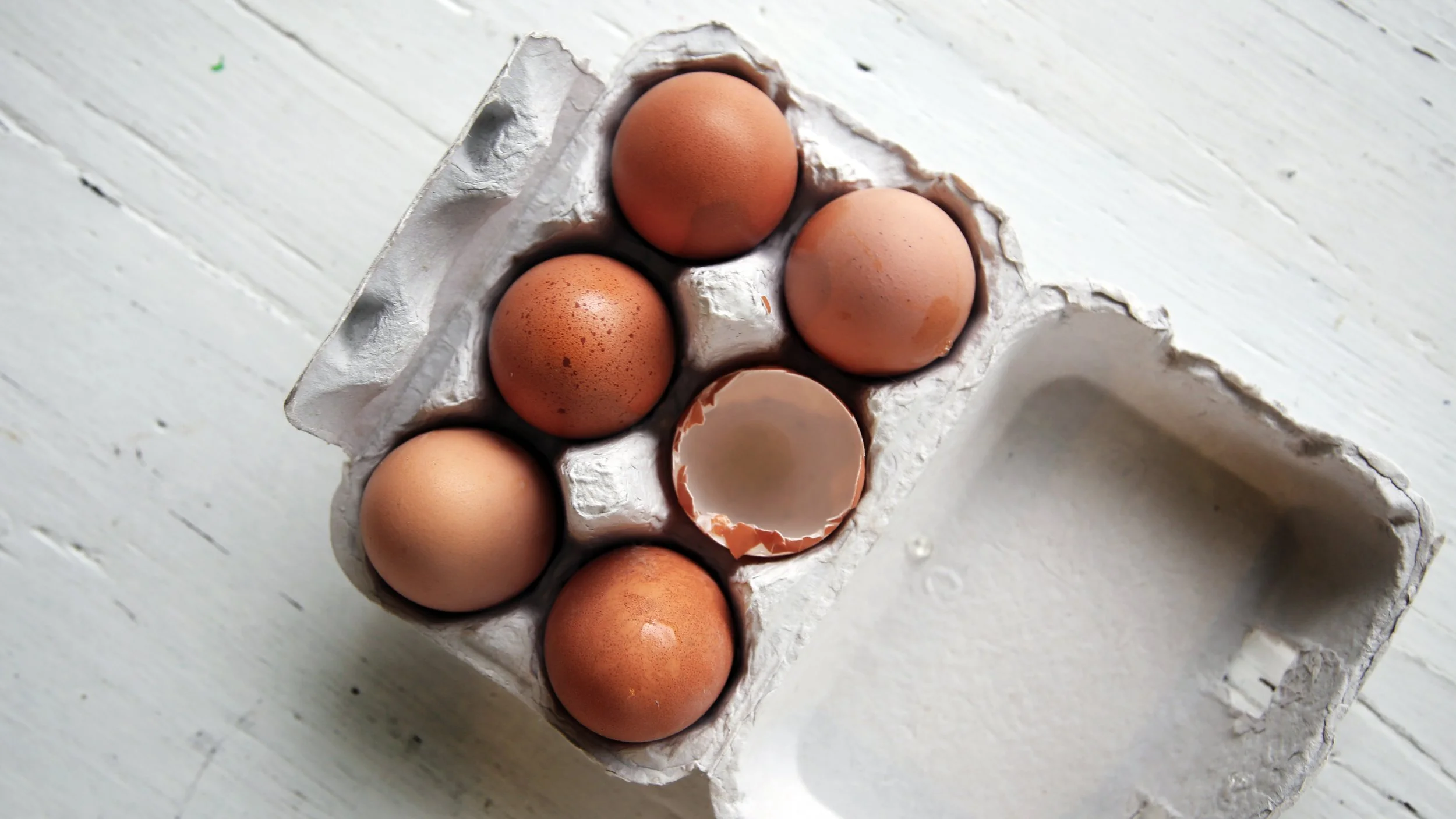 The Power of Protein