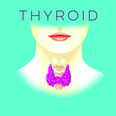 A Talk About Thyroid.