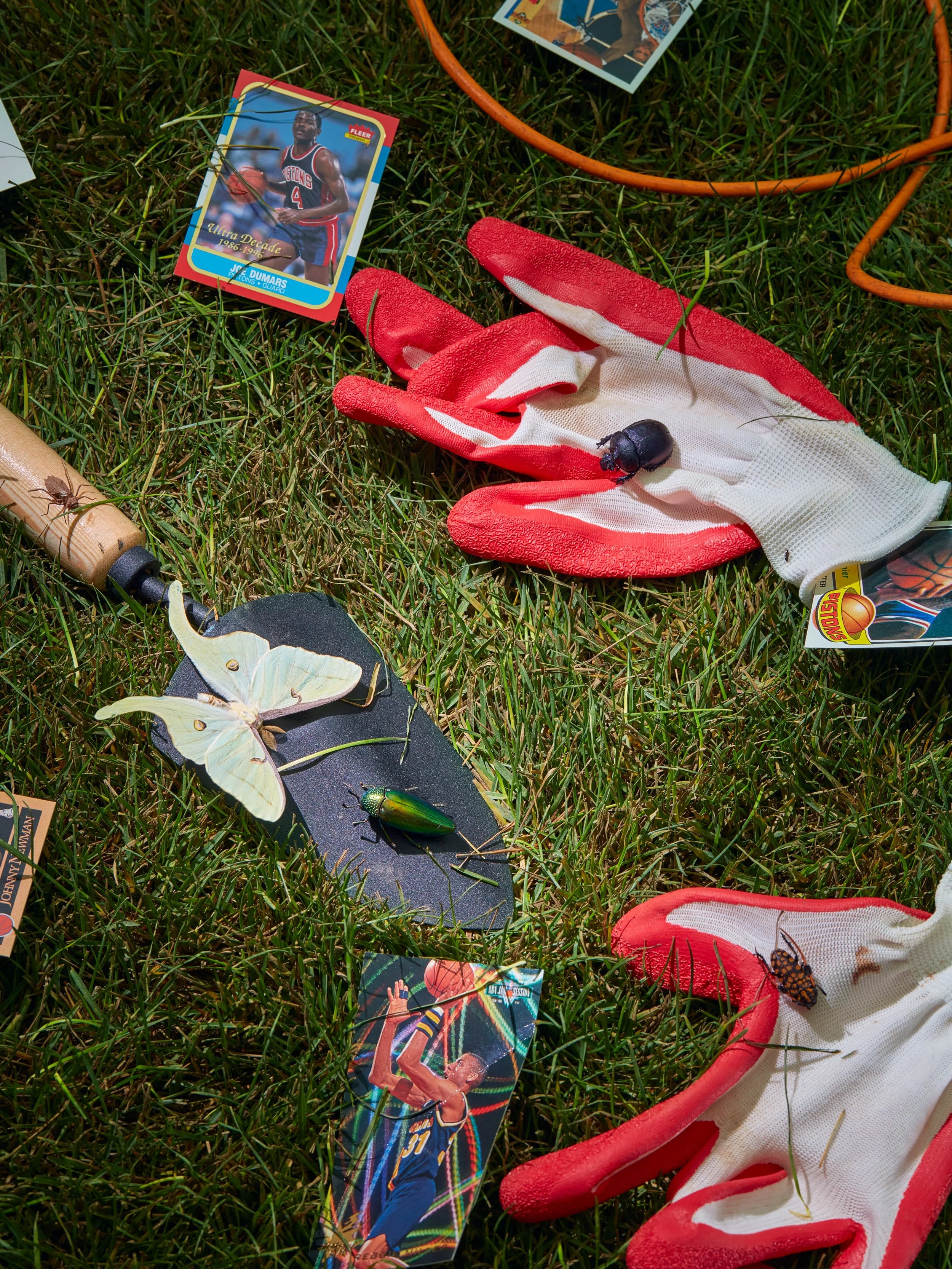 20210913_ANYWAYS_GOOGLE_02_YARD_WORK_SPORTS_CARDS_0057.jpg
