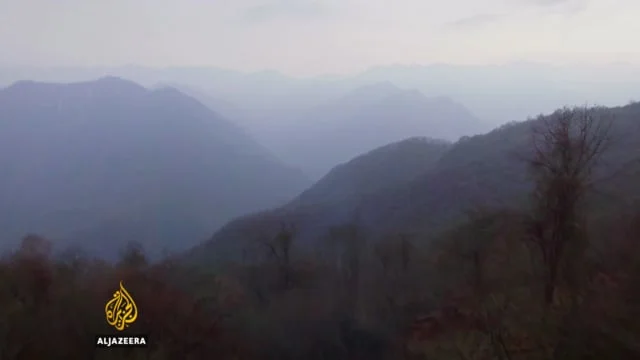 Saving China's Pandas