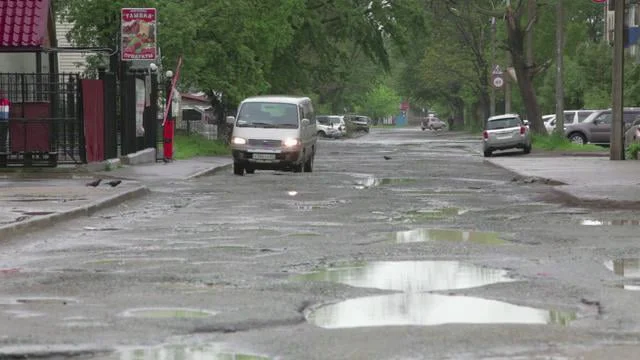 Russia's Japanese History