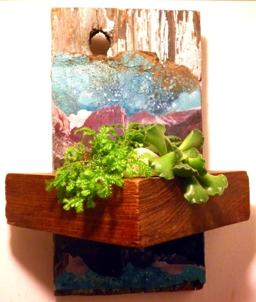 Rocks and Stars Terrarium