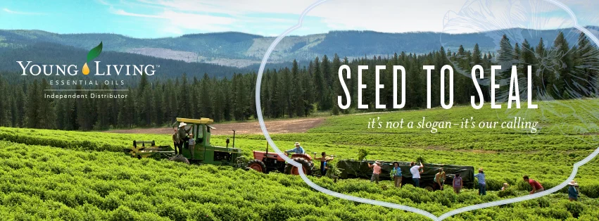 seed to seal 3.jpg