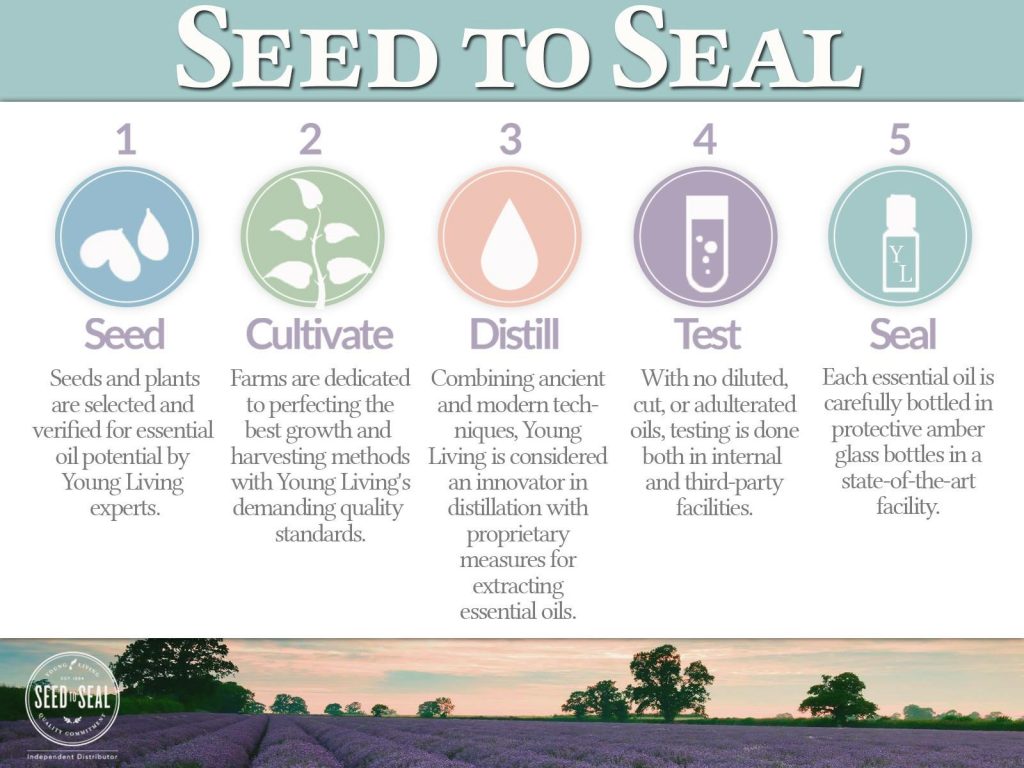 seed to seal 2.jpg
