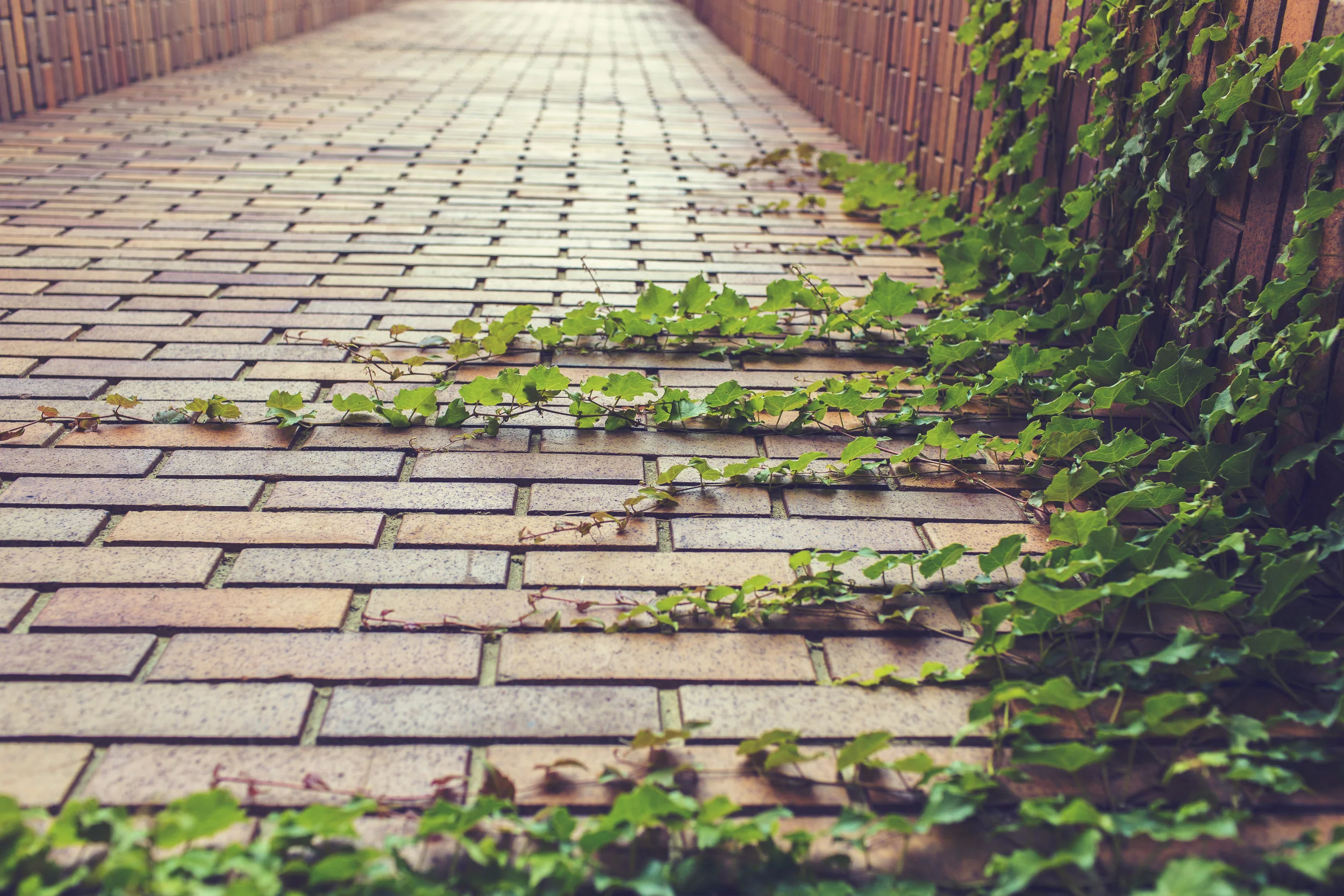 Train your brain - positive neuroplasticity