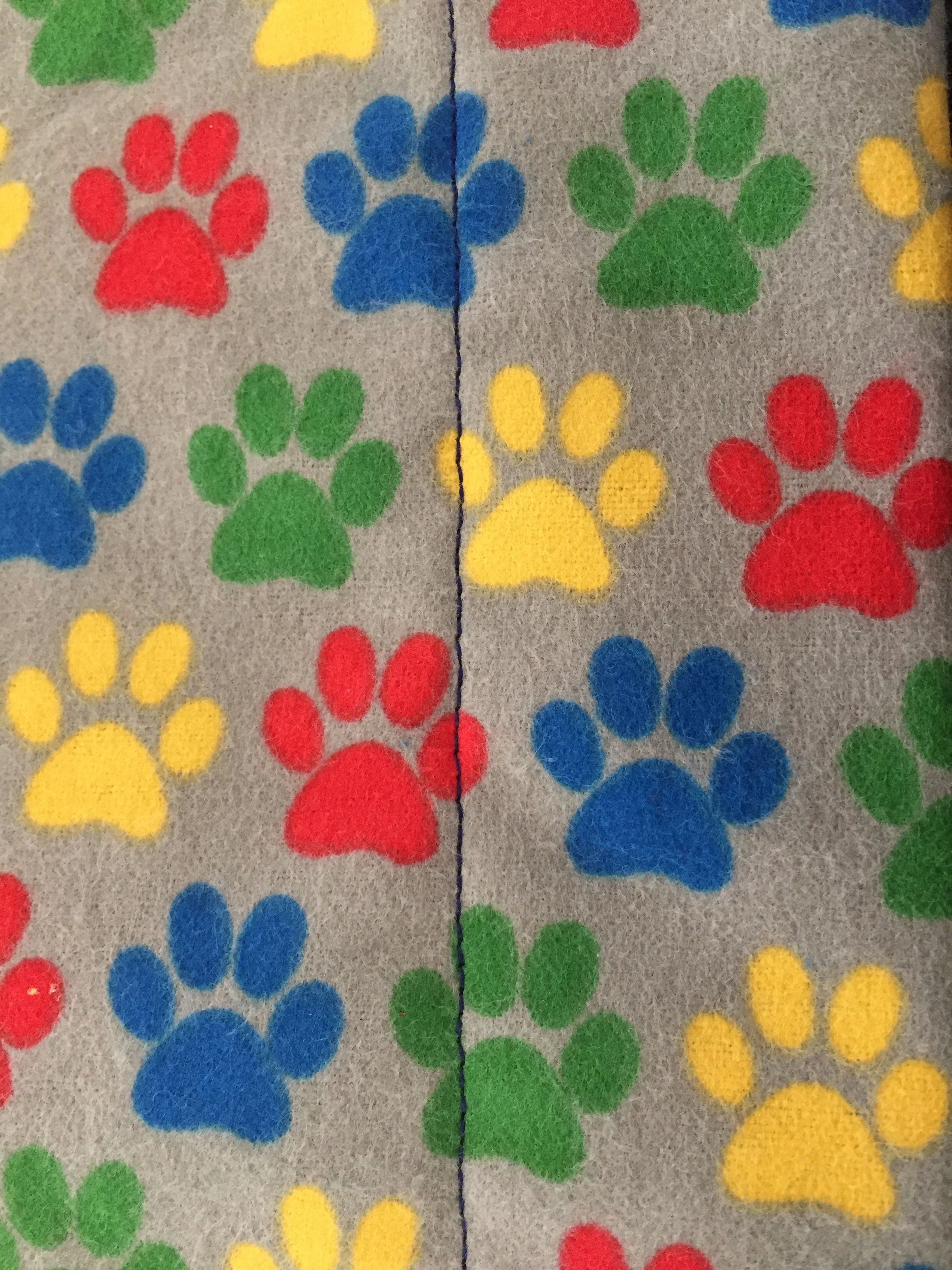 Primary Paws.JPG