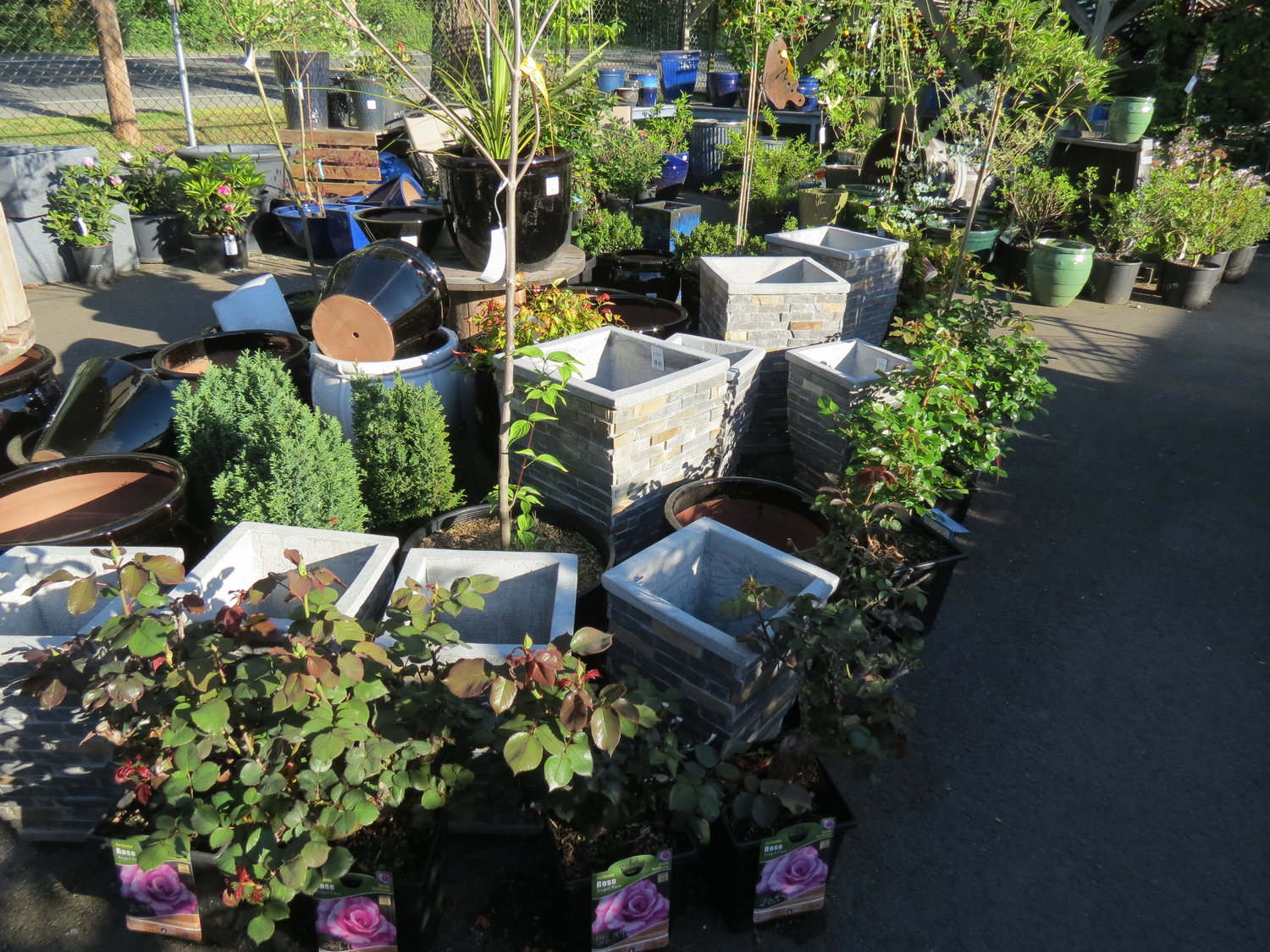 Ceramic Pots And More Patio Gardens Victoria