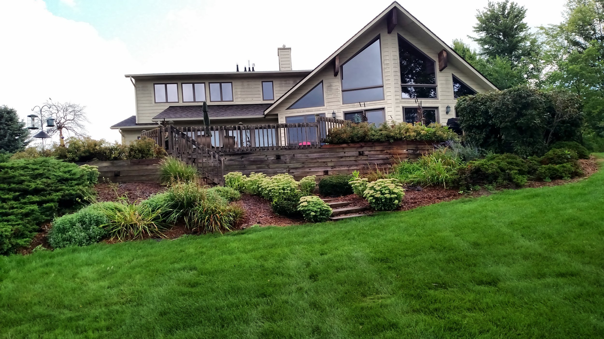 IMG_20150820_104812159.jpg