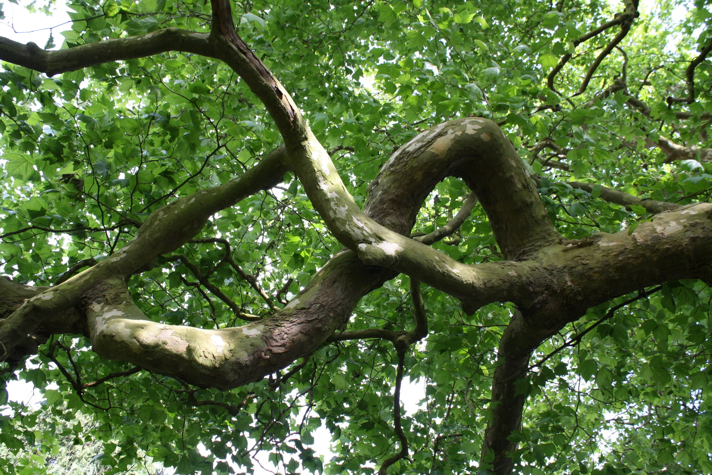 On Integral Facilitation Practice