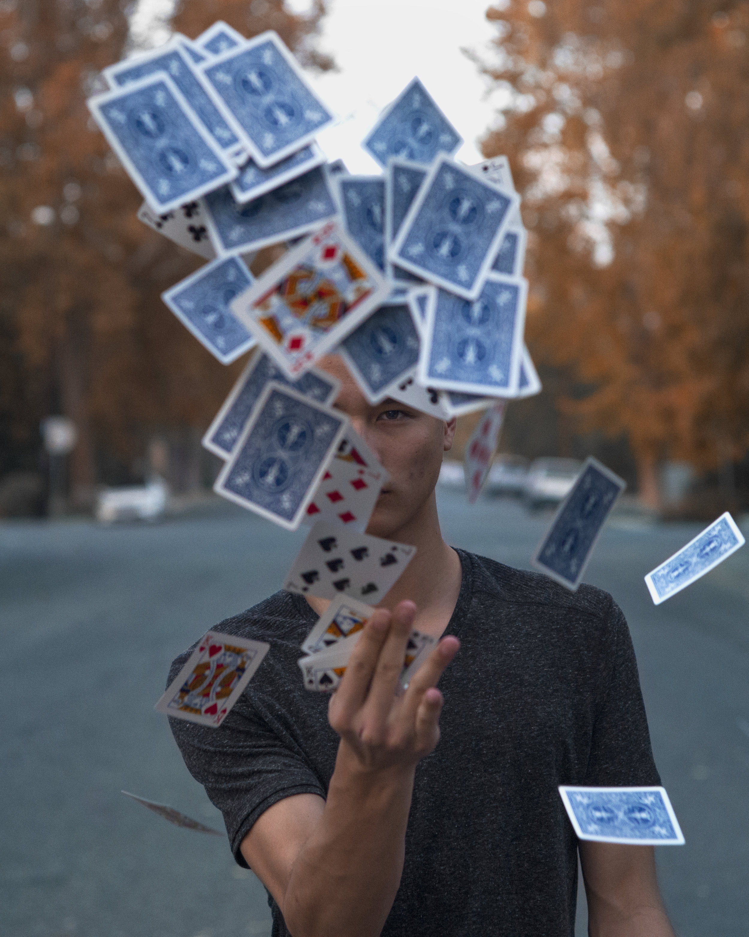 L1003426 Matt Novem Cards Master Edit 2.jpg