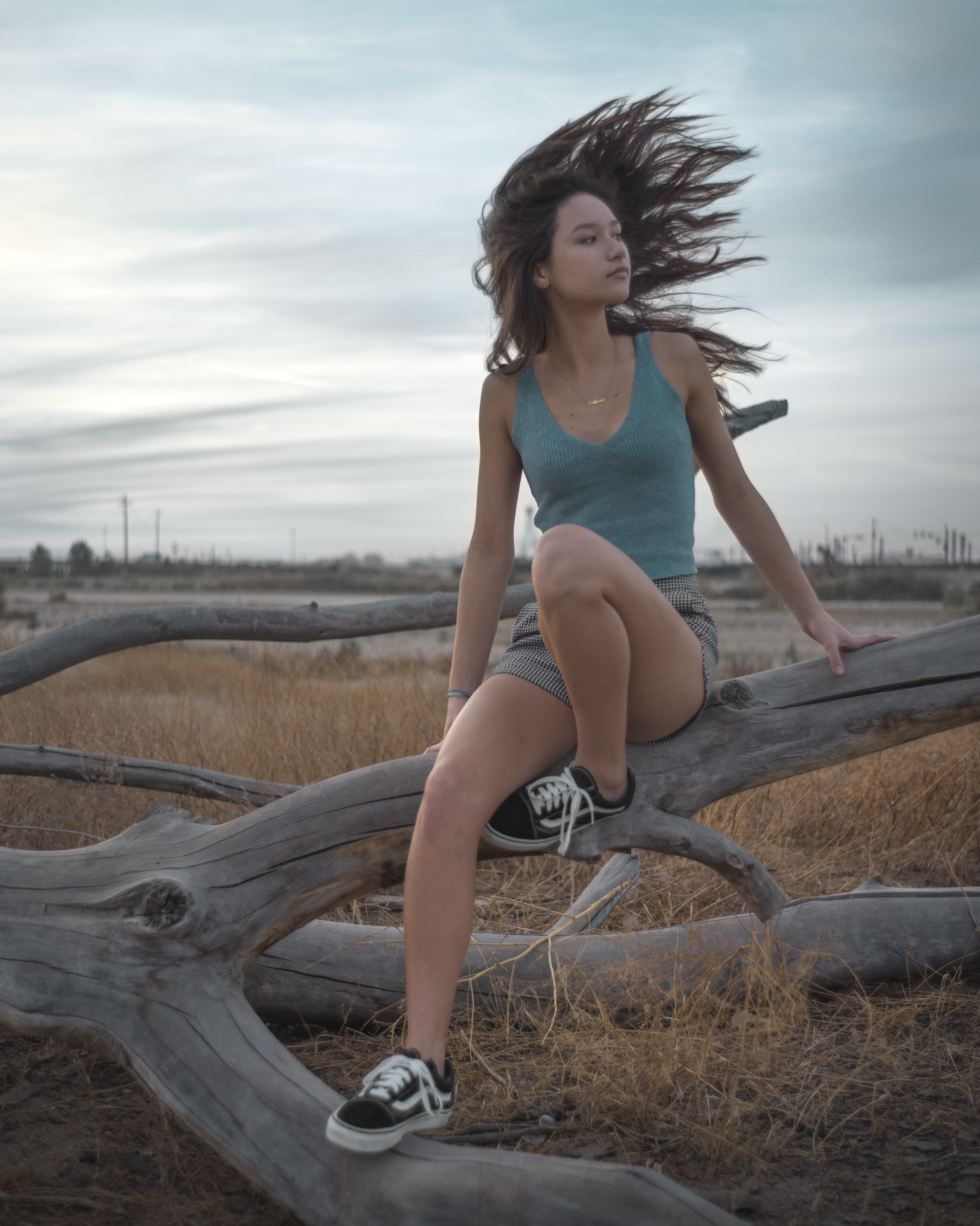 Nov2017-1003479 Master Edit 4x5 Crop.jpg