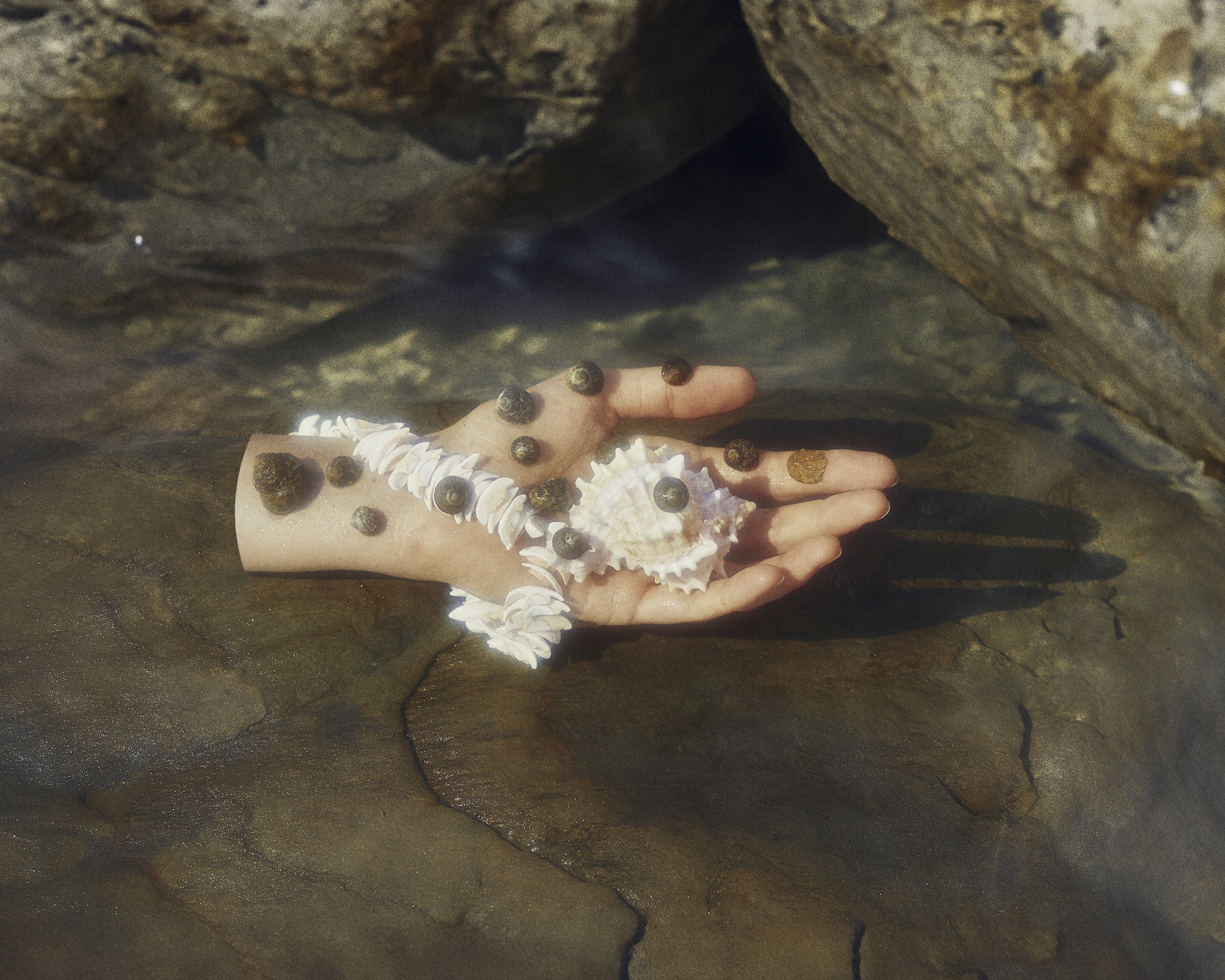 Capture d’écran 2026-02-07 à 19.50.56.png