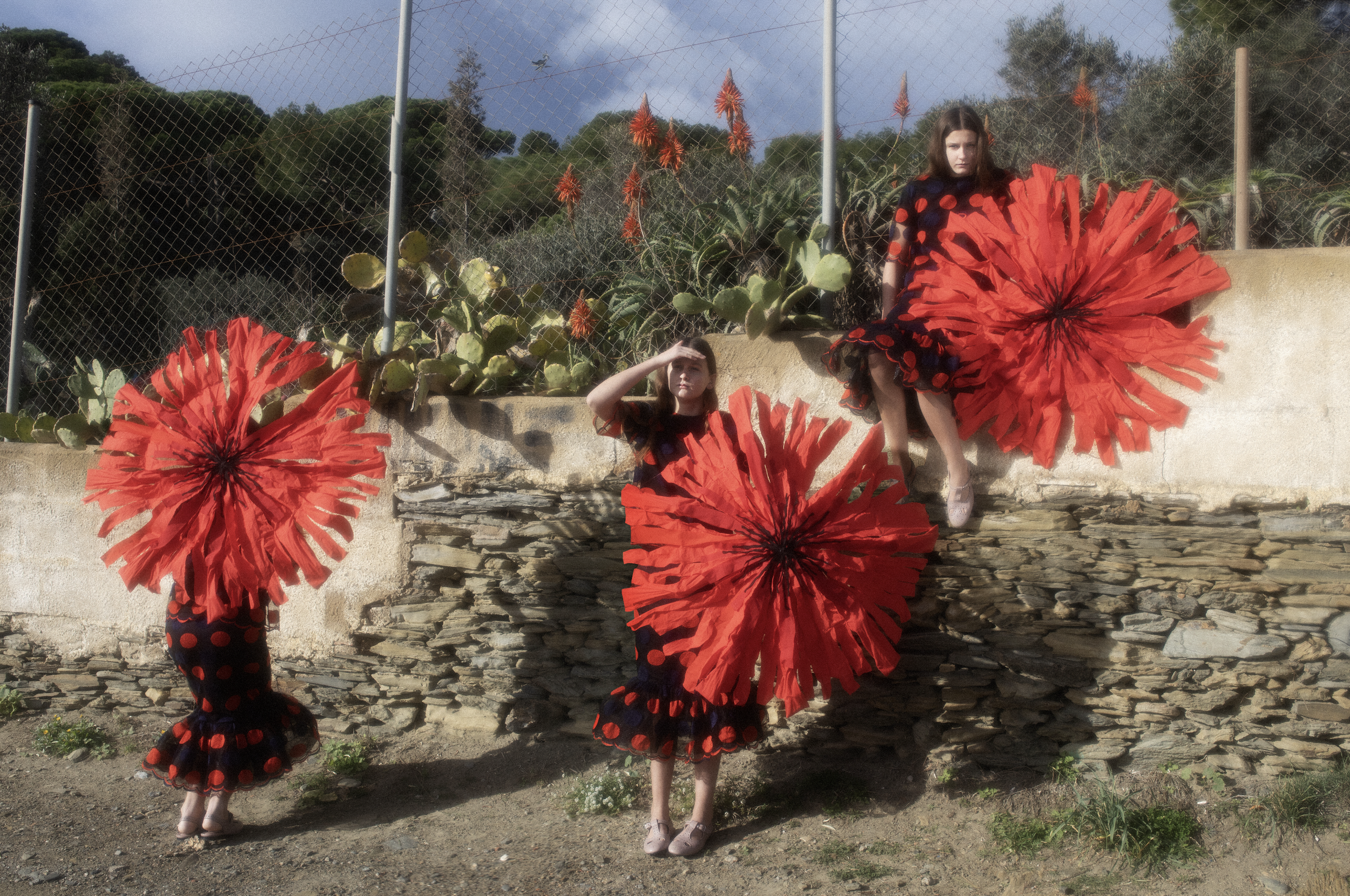 Capture d’écran 2026-02-07 à 20.02.04.png