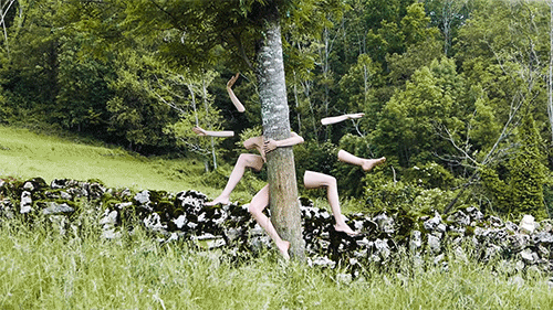 L'ARBRE.gif