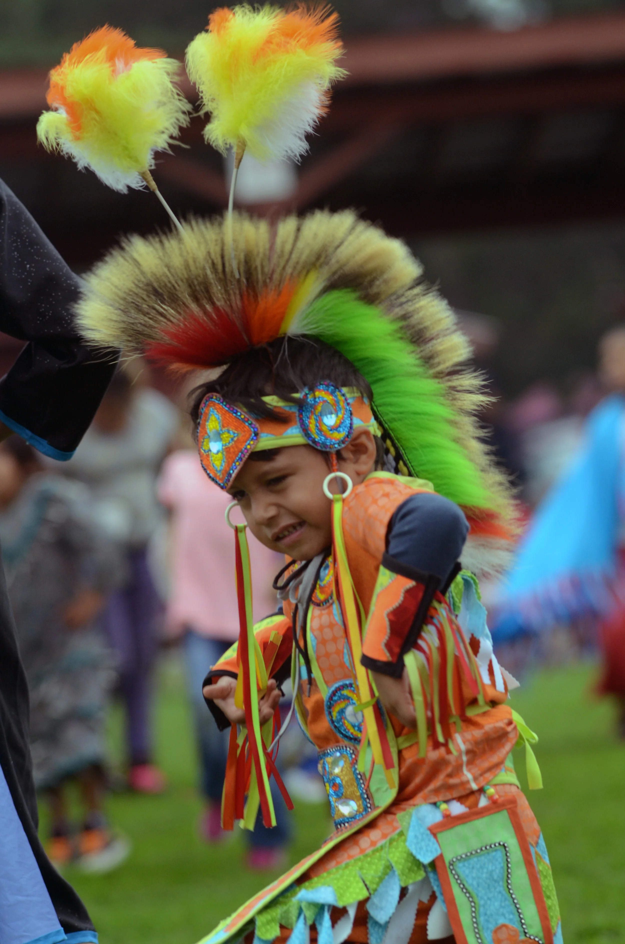 PowWowSelects109.jpg