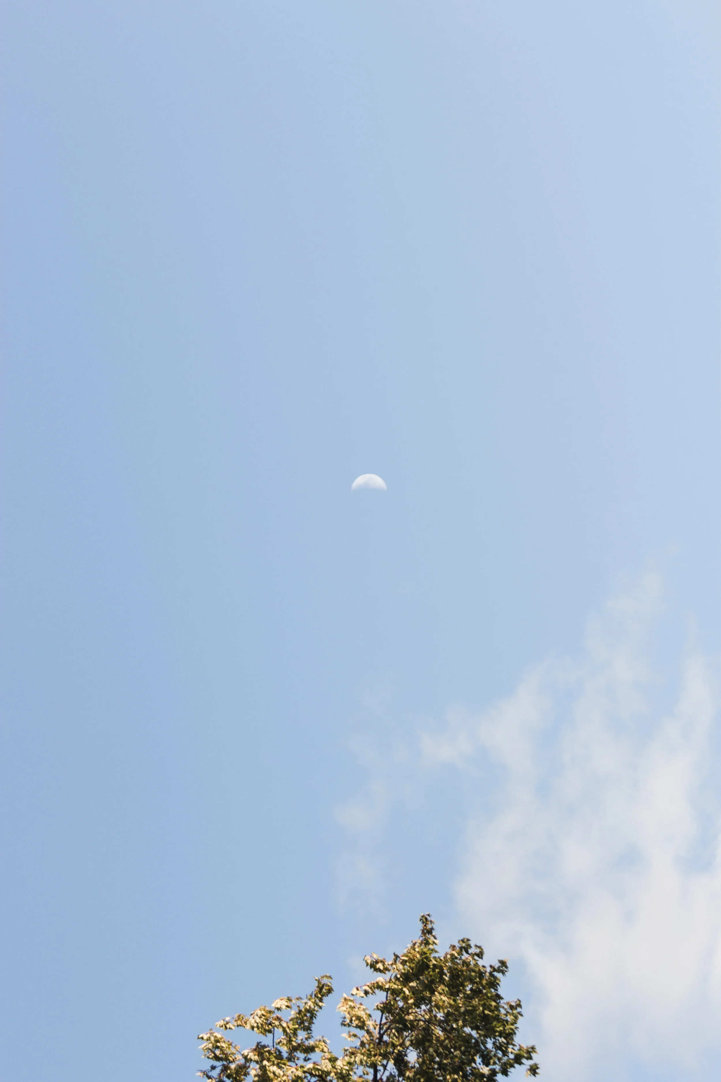 2018_10_15_web.jpg