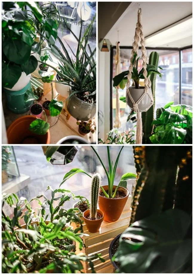 2018-03-28_0003.jpg