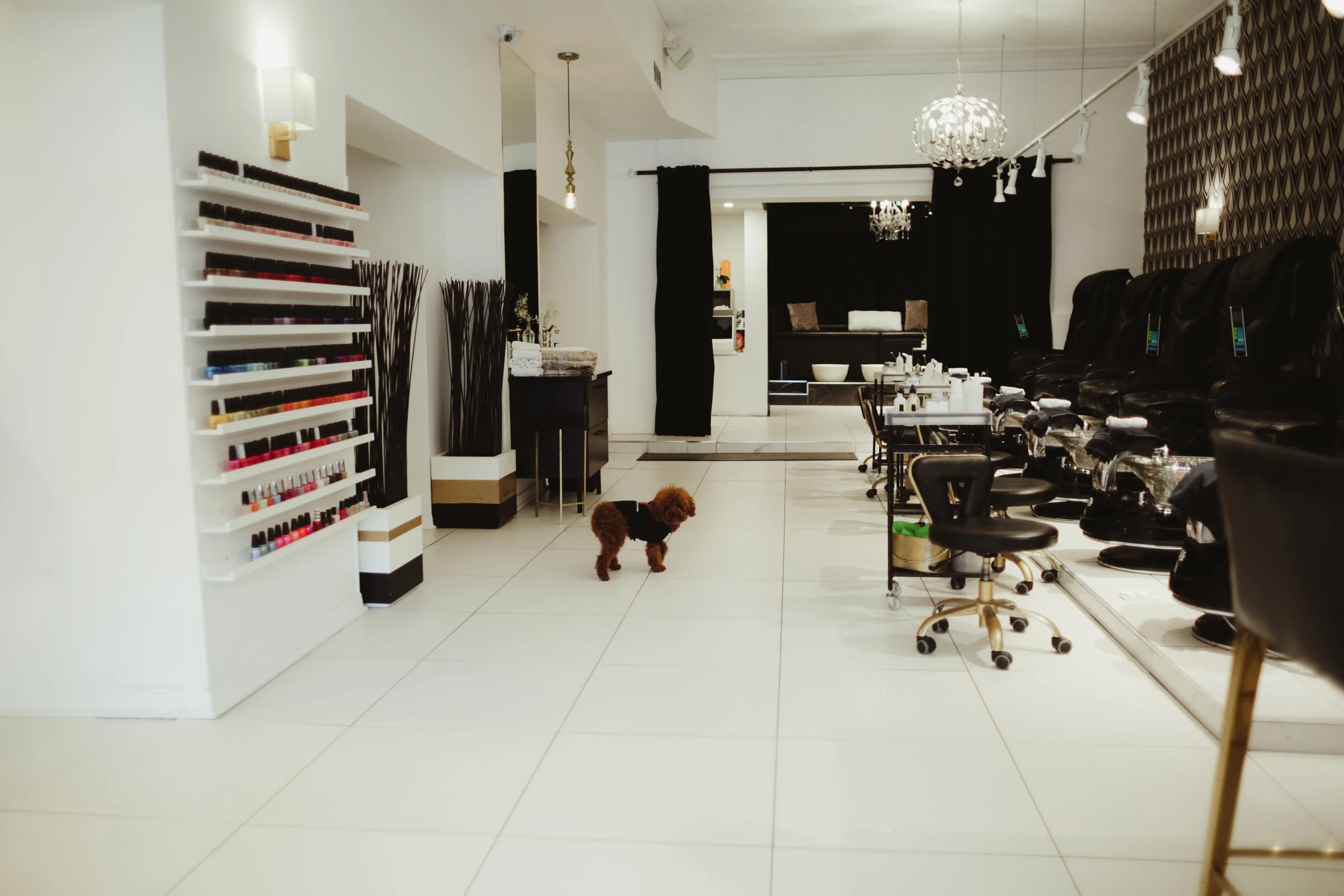 2019_Ottawa_Ottawa_ottawainfluencer_ottawablog_ottawablog_613_Ottawatourism_Ottawaphotography_ottawaphotographer_ottawabusiness_ottawaneighbours_ottawabranding_ottawamarketing_rothbauerstudio_idigelgin_jadorebeautylounge_ottawanails_ottawapedicure_ottawamanicure_tomoottawa.jpg