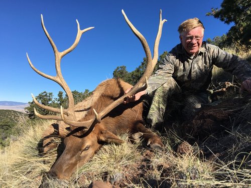NEW MEXICO ELK — South Peak Guide Service