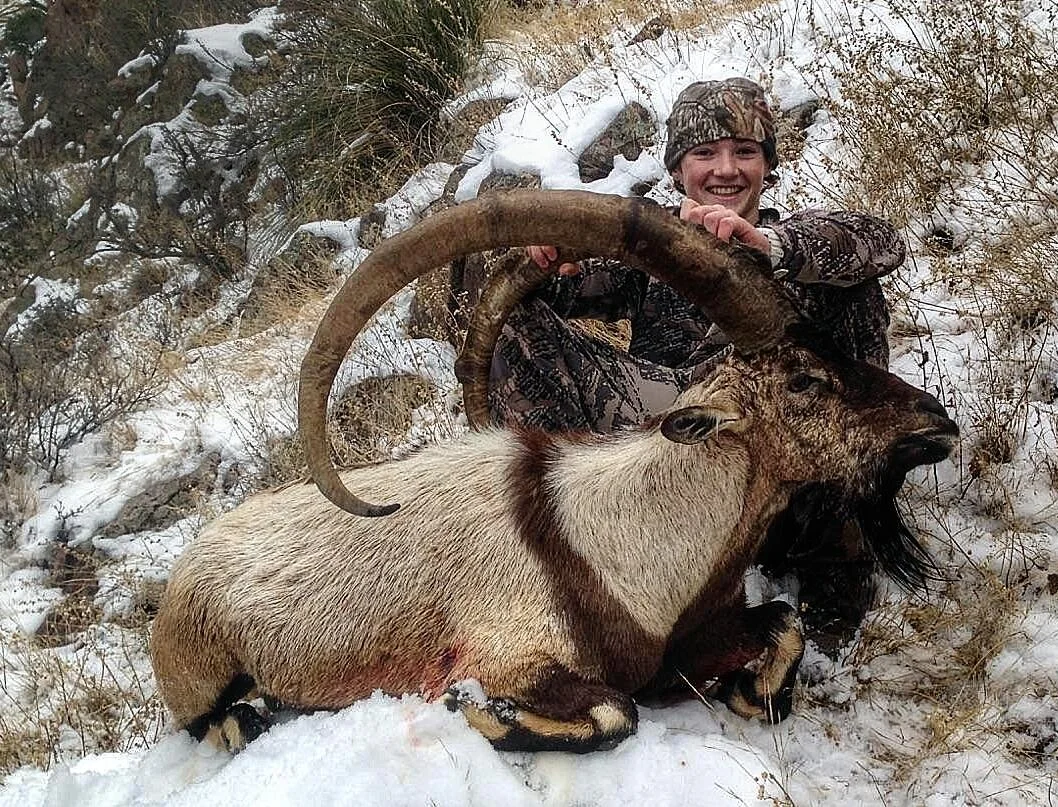 NEW MEXICO IBEX — South Peak Guide Service