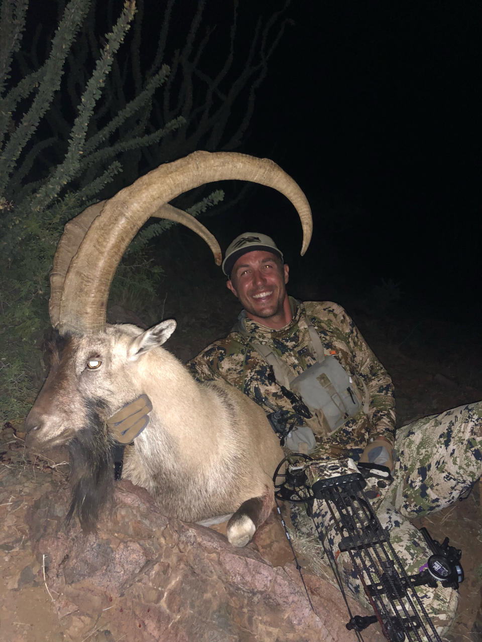 NEW MEXICO IBEX — South Peak Guide Service