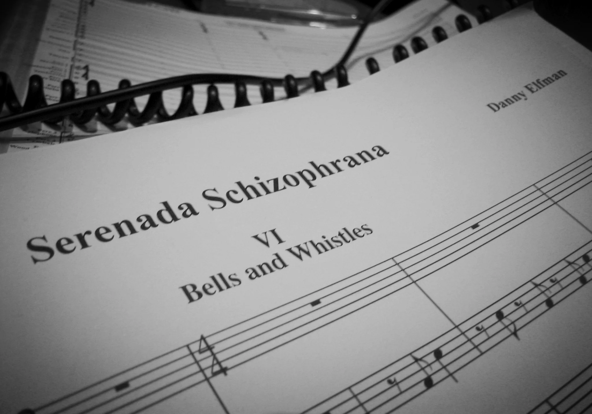 Serenada Schizophrana Score, Recording Session (2006)