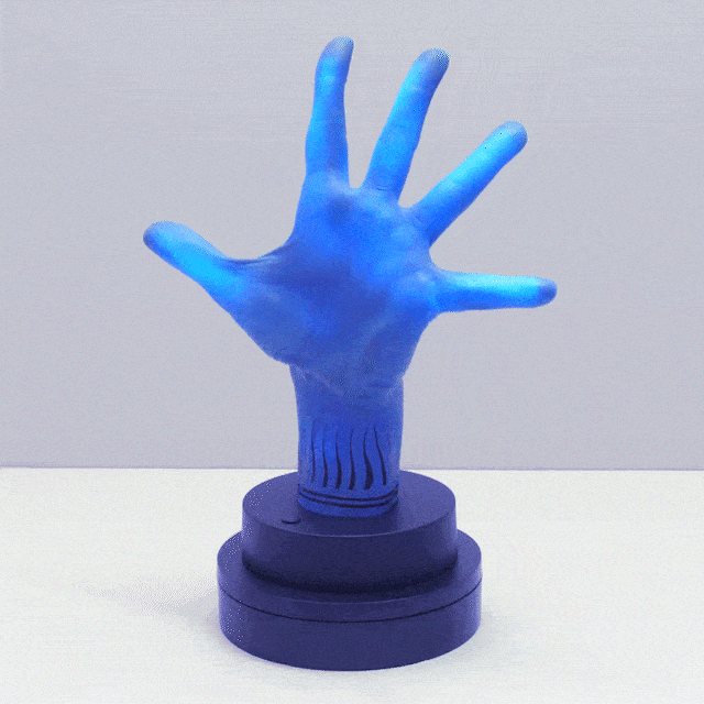 Life-sized light up model of Danny’s hand with hand painted tattoo detail on wrist. (Copy)