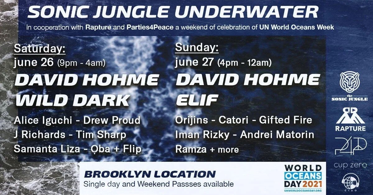 Sonic Jungle UNDERWATER: A Weekend of Music In Celebration of UN Oceans Week