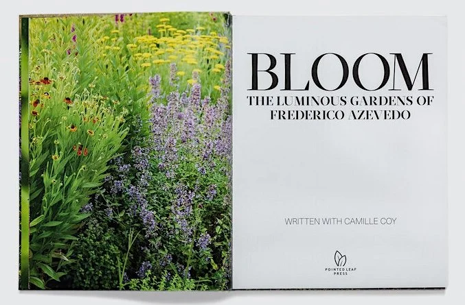 Bloom Title Page.jpeg