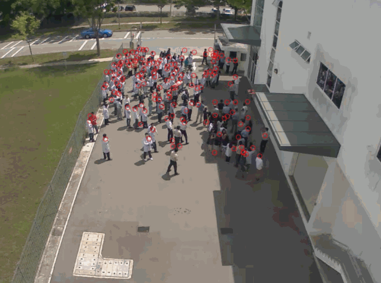 movement 2.gif
