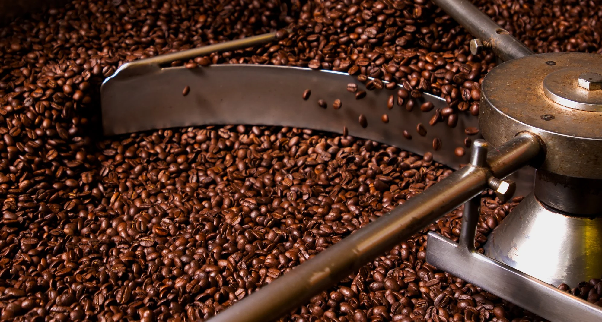 Coffee Roaster.jpg
