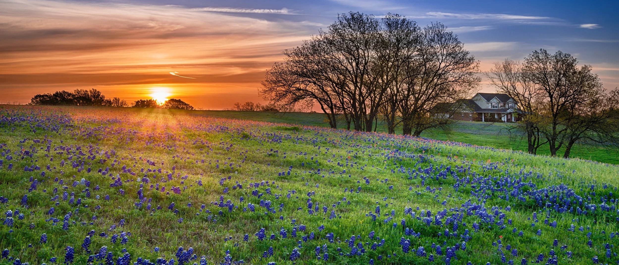 AdobeStock_64044248.jpeg